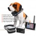 F-883 wireless dog fence system that just has rays wireless dog fence pet system waterproof collar