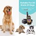 trending dog training collar remote pet trainer collar training dog