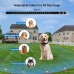 916- dog agility kit dog fence wireless electric pet fence wireless fence for dogs