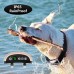 Waterproofe Electric Remote Pet Dog Training Collar Sbarking Collar Dog Slave Electric Training Collar
