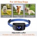Waterproofe Electric Remote Pet Dog Training Collar Sbarking Collar Dog Slave Electric Training Collar