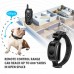 Remote dog training Collar Dog Bark product Waterproof  Shock transmitter