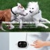 Pet Training 2 Collars Wireless Electronic Boundary Control Fence Barking Dog Alarm in Ground Pet Containment System