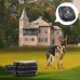 Outdoor Dog Training Waterproof Anti Barking Wired Dog Electric Fence Anti Barking Shock Collar Electric Security Fence System