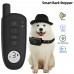 Wholesale Customize Collar Pet Supplies Waterproof 1000 feet Electric Pet Dog Remote Training Collar