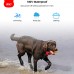 Wholesale Designer Dog Collar Waterproof Remote 1000m Electric Pet Dog Shock Training Collar