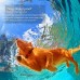 Aquariums 1000m Range Waterproof Electric Anti Barking Pet No Shock Dog Training Collar With Remote