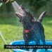 500m Aquariums Remote Control Anti Barking Rechargeable Waterproof Plastic Pet Dog Collar Training