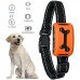 China Supplier Electronic Dog SBarking Control No Dog Bark Training Anti Bark Collar Vibration
