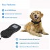 Passiontech P-166 dog slave collar can train up to 2 dogs at the same time