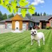 Outdoor No Bark Box | SDogs from Barking Device Ultrasonic Birdhouse for Dog Deterrent Control Petsonik