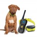 Best Training Tool Rechargeable and Waterproof Dog Training Collar P-620 with High Quality Adjustable Belt