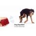 Practical Electric Ultrasonic Dog Training Repellent