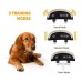 Dogs Pet Training Training Collars Eco-friendly Stocked Plastic 165A Shock Vibrating Anti Bark No Bark Dog Collar
