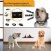 Rechargeable Dog Barking Control Training Collar Beep / Vibration / Safe Shock or No / Sensitivity Anti Bark Reflective Collar