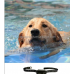 Best DG001 Bluetooth Dog Training Collar Smart Phone Dog Trainig Collar Electronic Bark Control Stocked