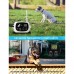 Waterproof Whelping Electric Shock Dog Training Collars Dog Clicker Wireless Alarm Dog Fence System