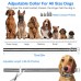 Electric Dog Fence Premium Underground Dog Fence System for Easy Setup and Superior Longevity and Continued Reliable Pet Safety