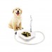 Qualified Durability Trouble-Free Outdoor Dog Cat Pet Drinking Doggie Water Fountain Levert Dropship