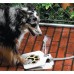 Qualified Durability Trouble-Free Outdoor Dog Cat Pet Drinking Doggie Water Fountain Levert Dropship