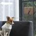 Dog Sonic Tress or Door Bark Control Outdoor/indoor Pet Training Training Collars Eco-friendly Stocked Plastic