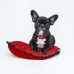 Dog Training Collar 500m Control Trainer Device Vibration  Electrostatic pulse  Warning SBark Deterrents Waterproof