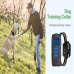 Pet Trainer Waterproof Remote Electric Control Dog Training Rechargeable Shock Collar For Dog Training